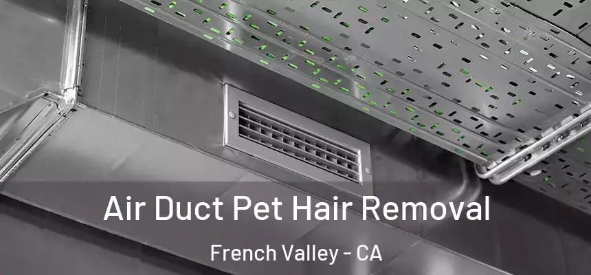 Air Duct Pet Hair Removal French Valley - CA