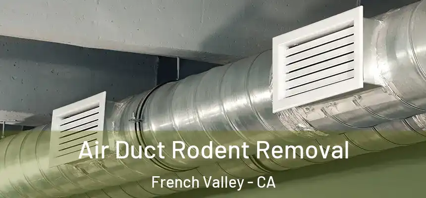 Air Duct Rodent Removal French Valley - CA