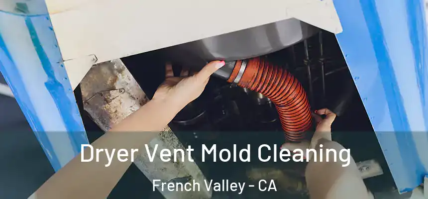 Dryer Vent Mold Cleaning French Valley - CA