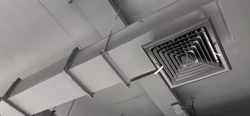 Our Rodent Droppings In Vents Services in French Valley, CA