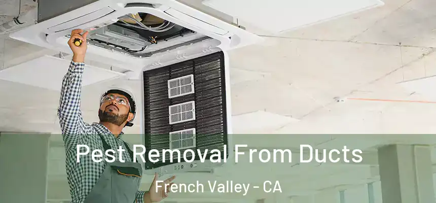  Pest Removal From Ducts French Valley - CA