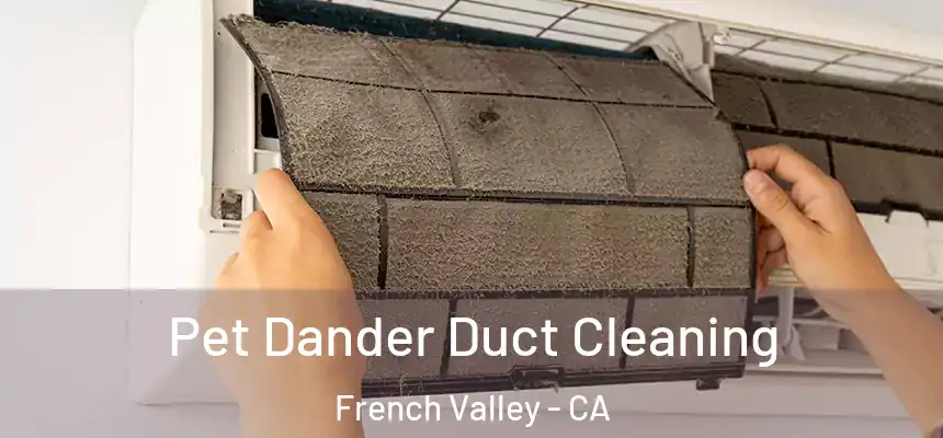  Pet Dander Duct Cleaning French Valley - CA