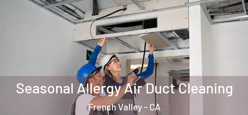 Seasonal Allergy Air Duct Cleaning French Valley - CA