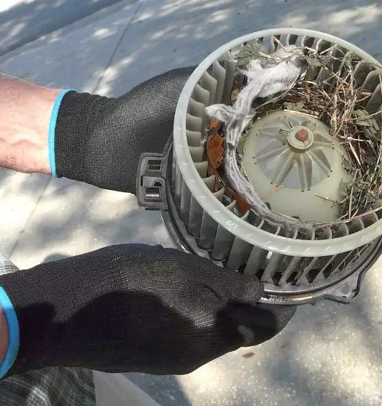 About Air Duct Mice Removal in French Valley, CA