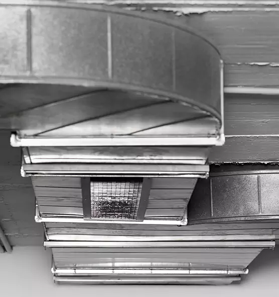 Professional Air Duct Pest Removal in French Valley, CA