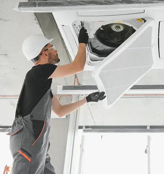 About Air Duct Rodent Removal in French Valley, CA