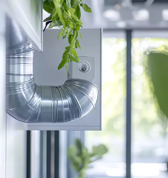 Professional Eco-Safe Dryer Vent Cleaning in French Valley, CA