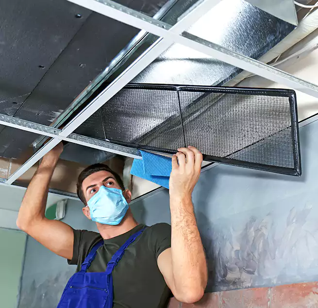 Why Homeowners Businesses Trust Us in French Valley, CA