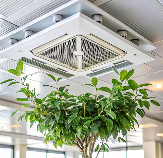 Why Homeowners & Businesses Trust Us in French Valley, CA